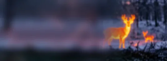 Termovízny obraz jeleňa v nočnom lese